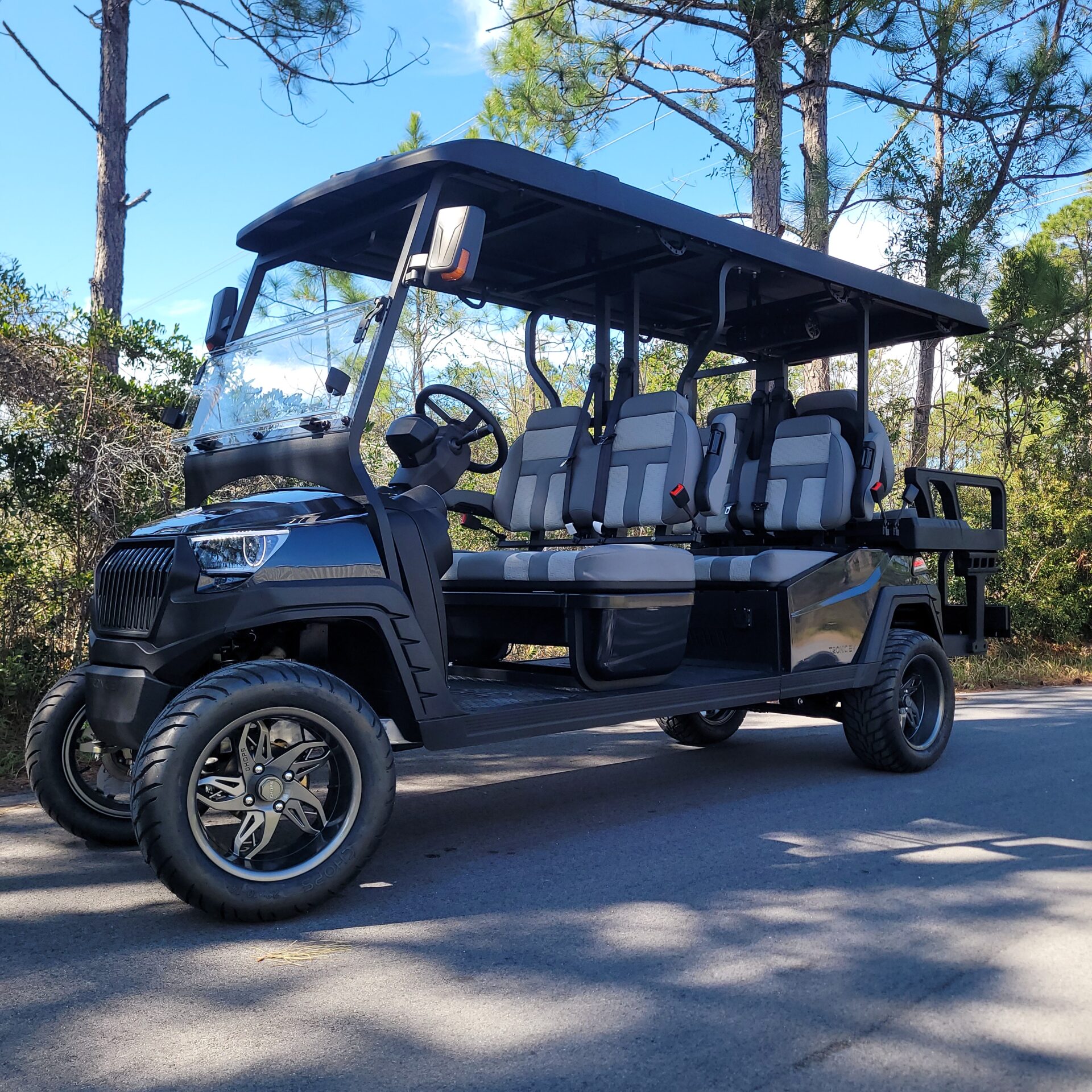 2026 Tronic EV 6P Lifted