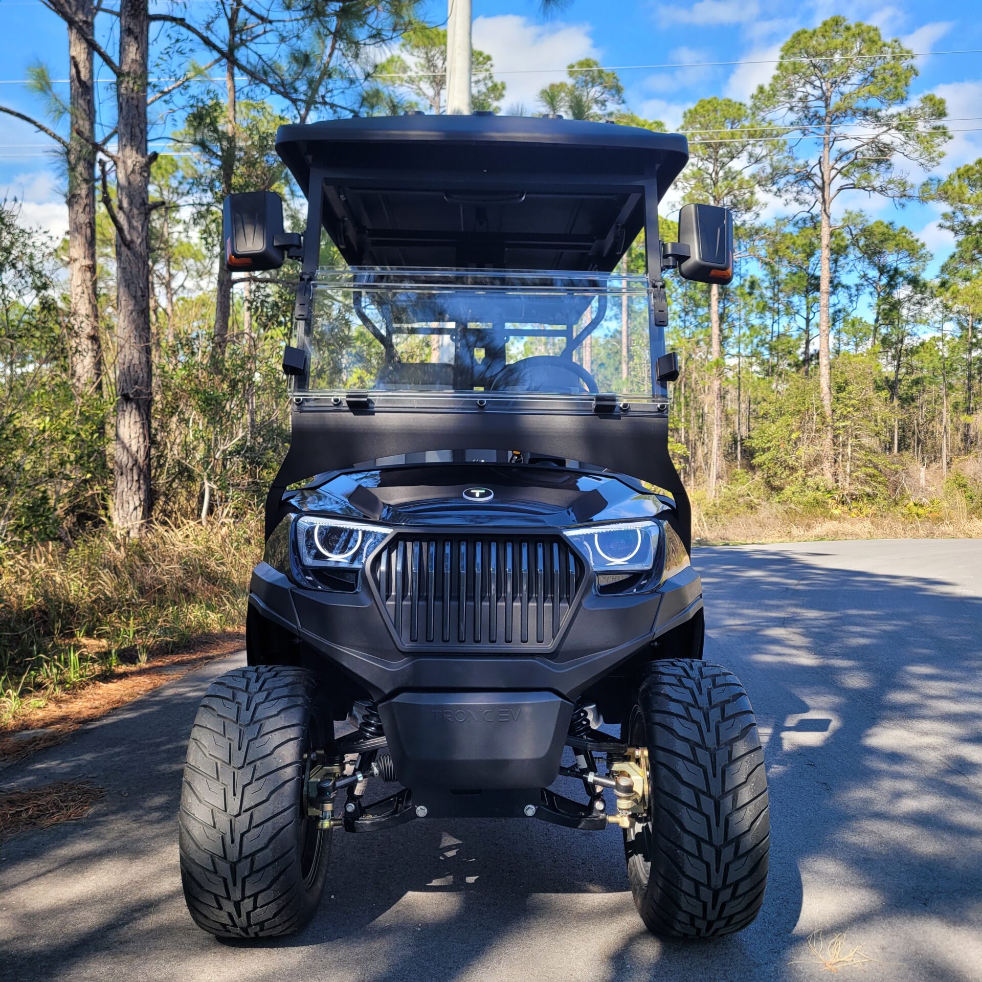 2026 Tronic EV 6P Lifted - Image 2