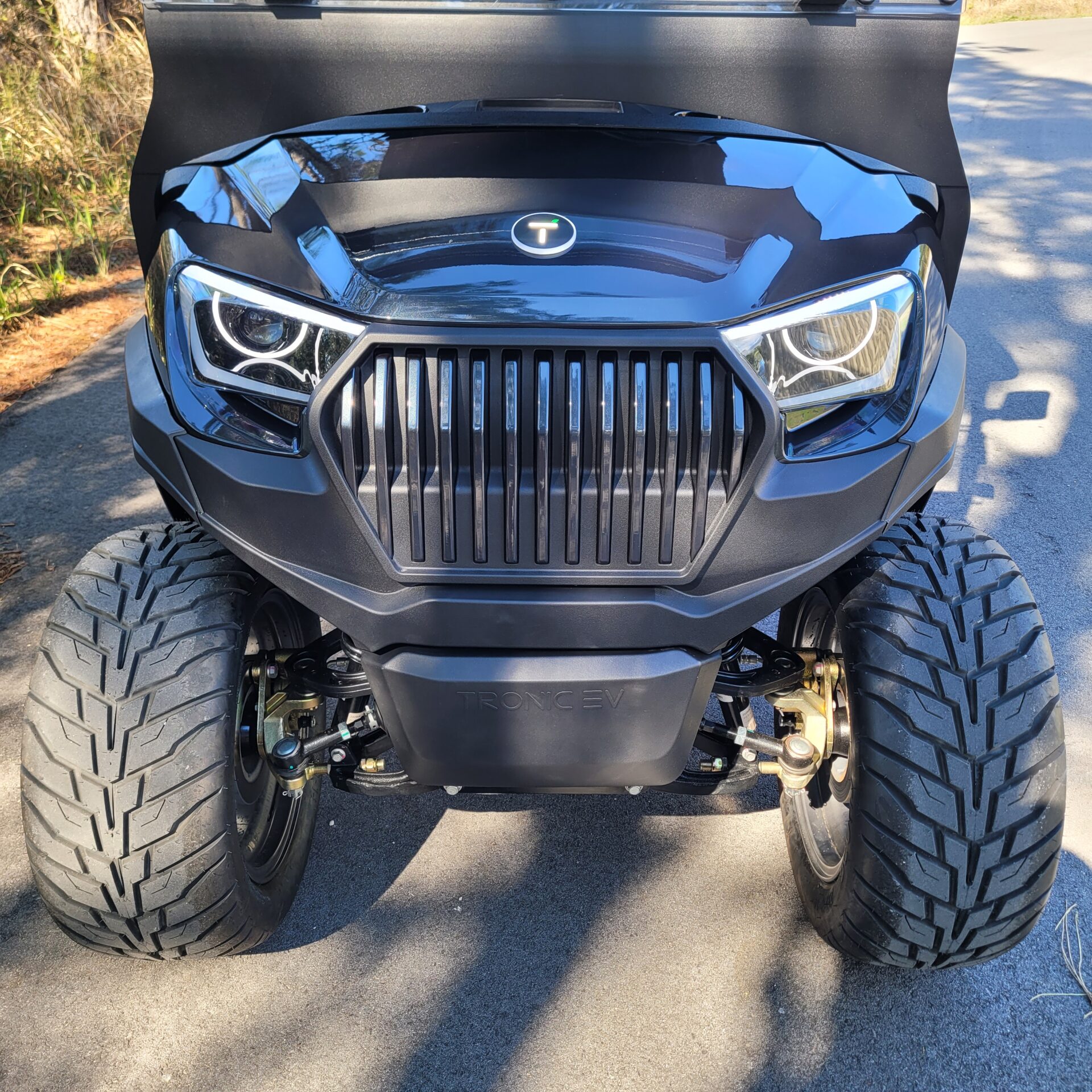 2026 Tronic EV 6P Lifted - Image 3