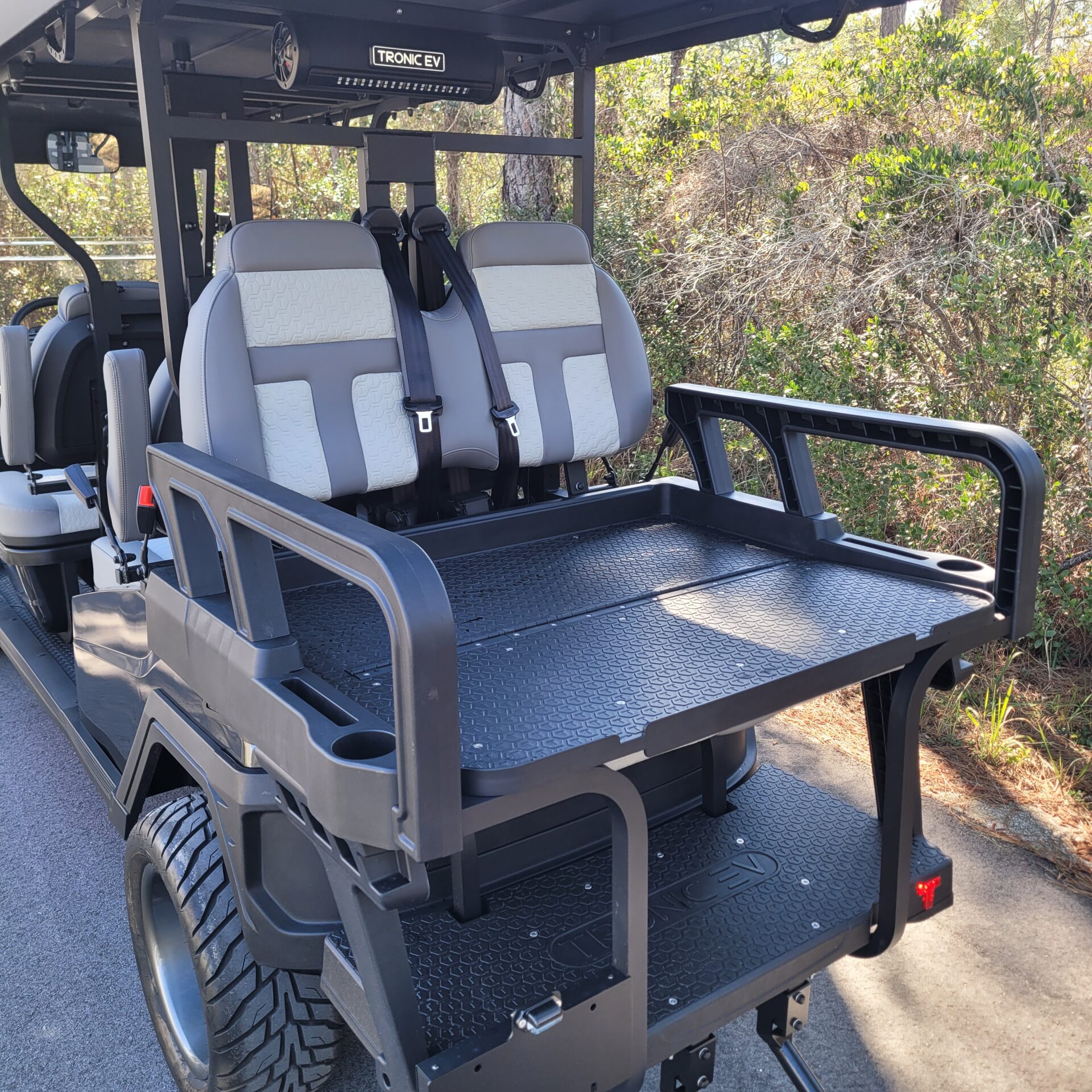 2026 Tronic EV 6P Lifted - Image 7