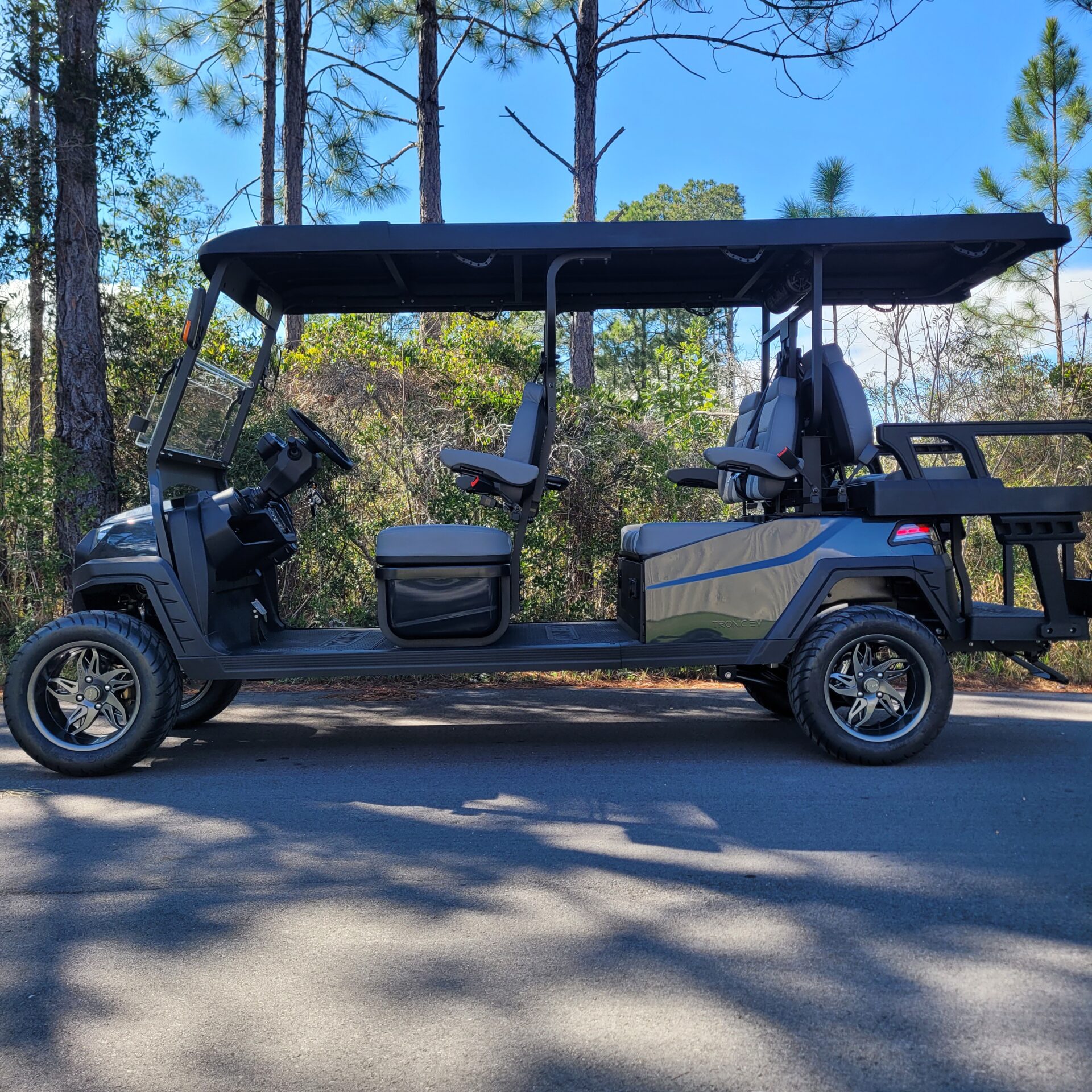 2026 Tronic EV 6P Lifted - Image 4
