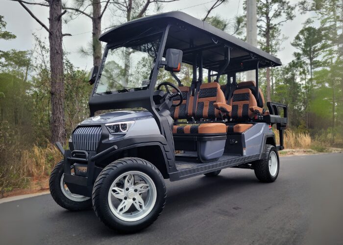 All New Series Carts TRONIC EV LSV Street Legal Cart For Sale