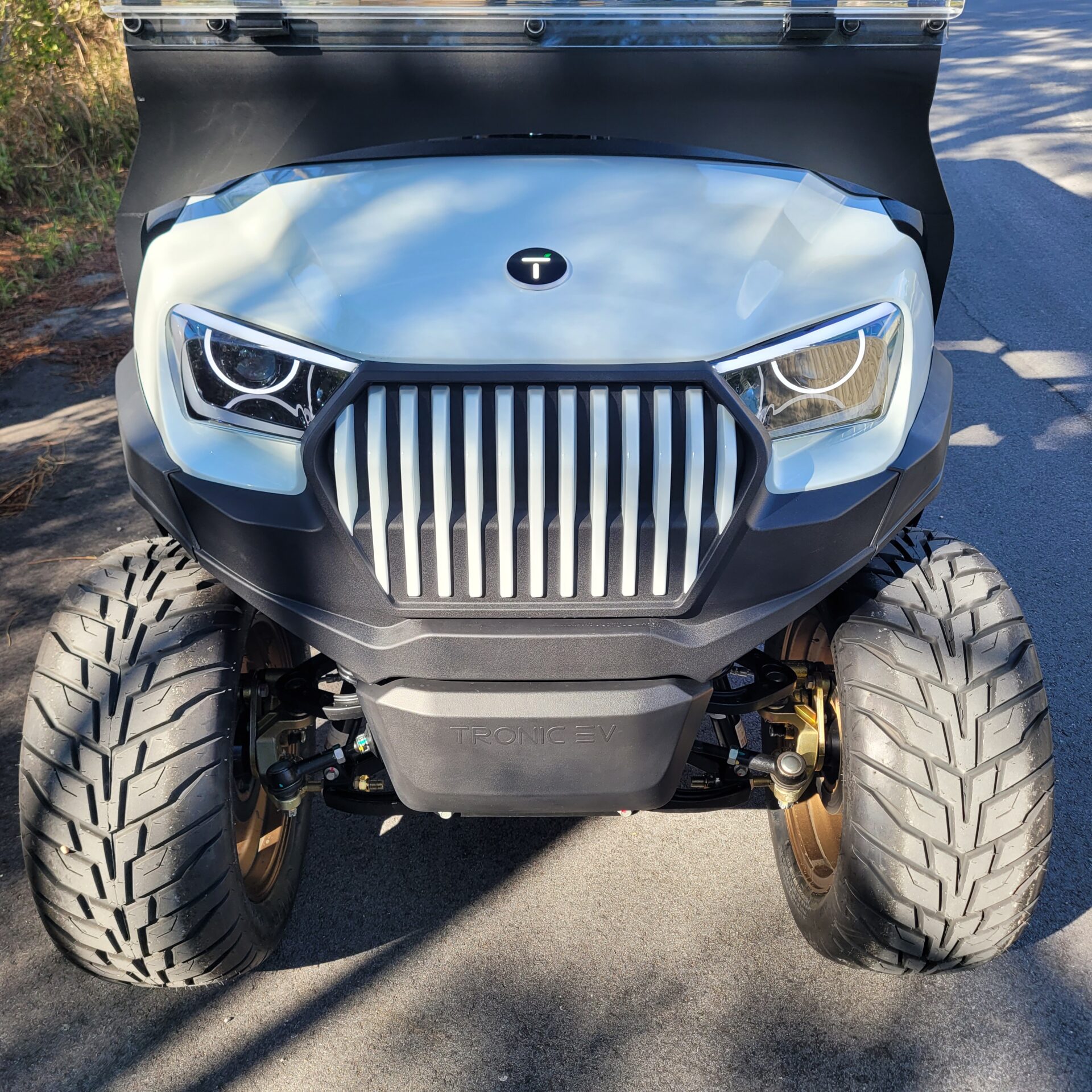 2026 Tronic EV 6P Lifted - Image 3