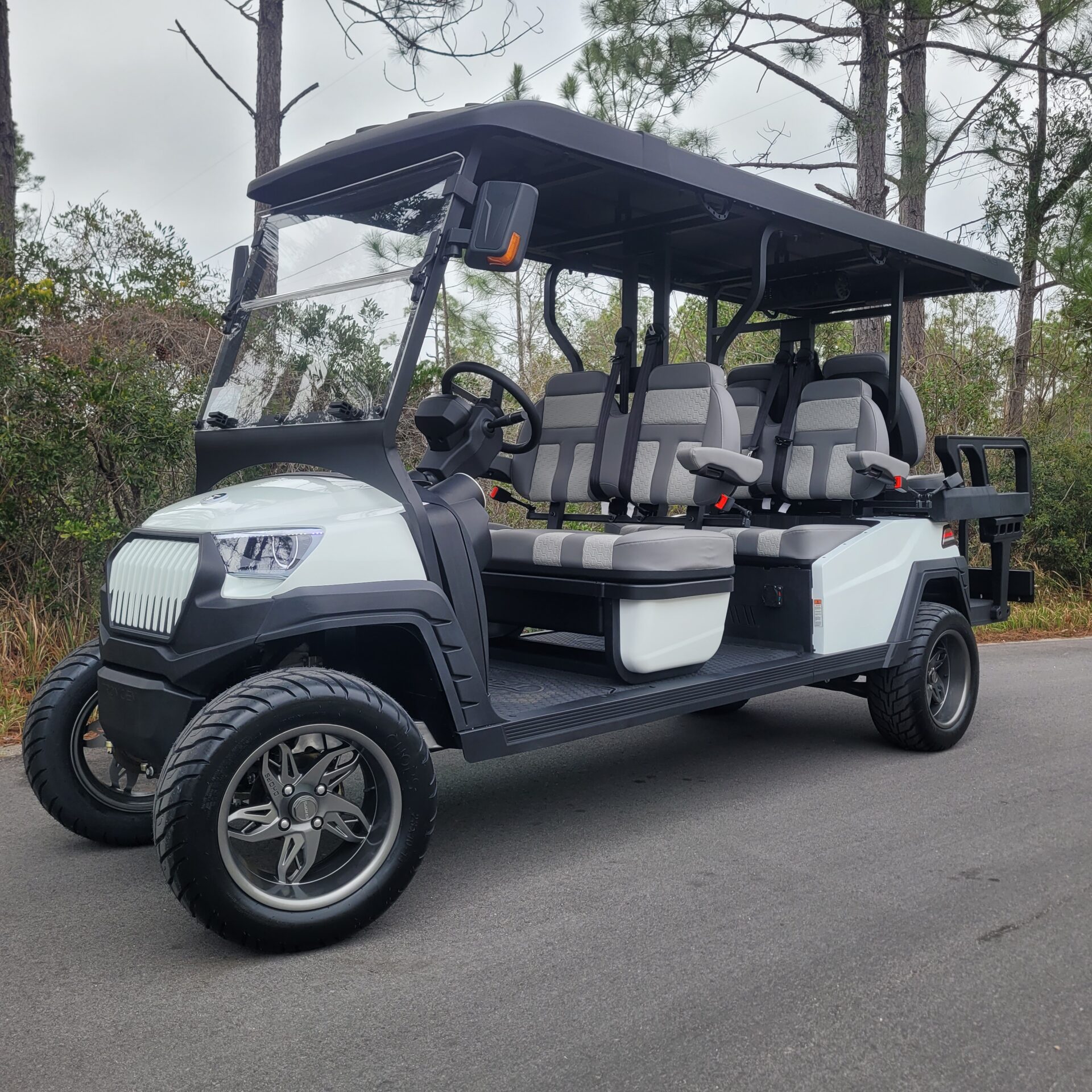 2026 Tronic EV 6P Lifted