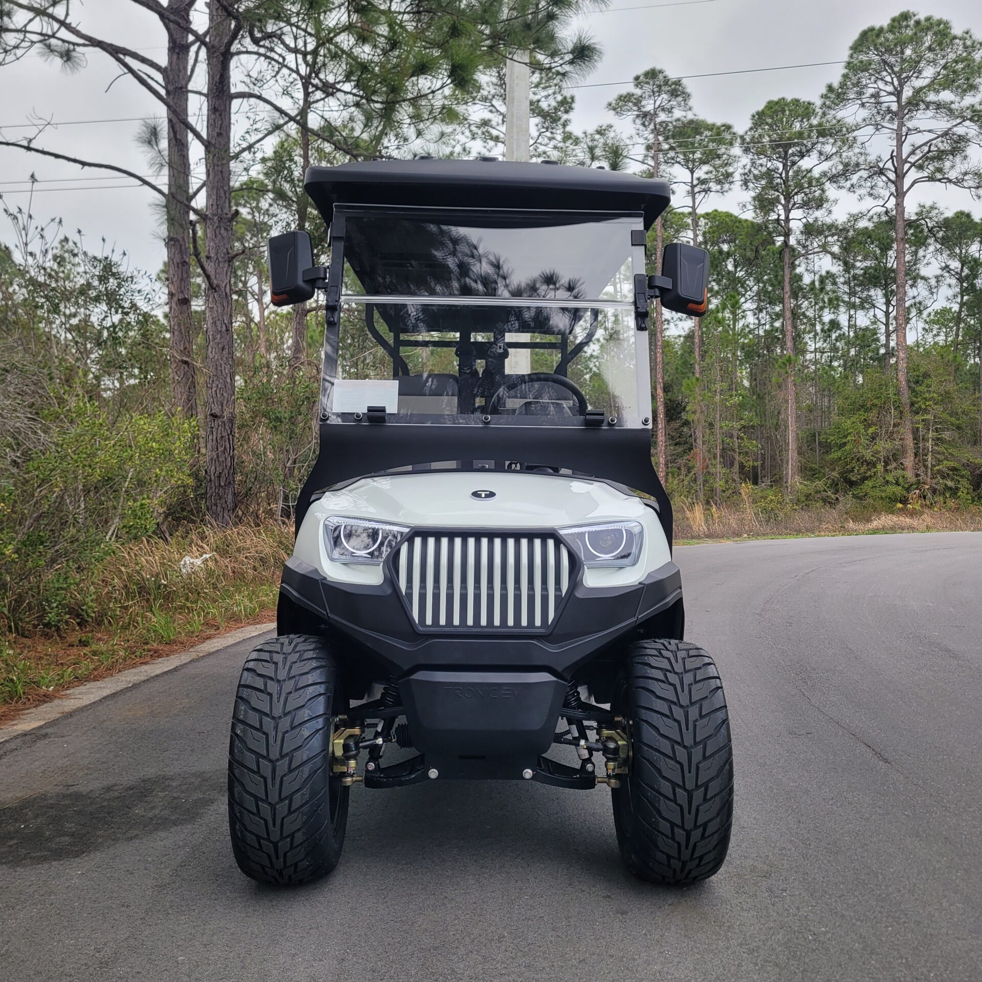 2026 Tronic EV 6P Lifted - Image 2
