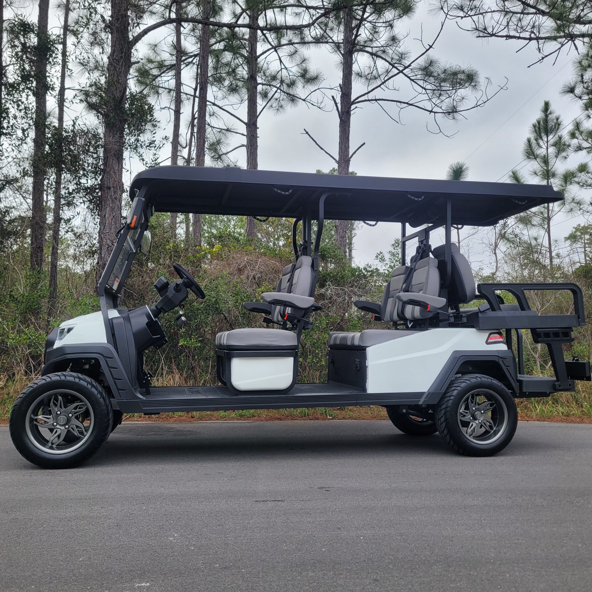 2026 Tronic EV 6P Lifted - Image 4
