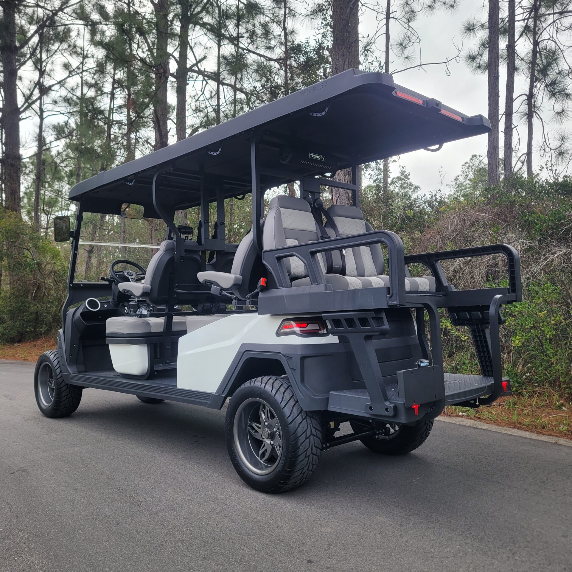 2026 Tronic EV 6P Lifted - Image 5