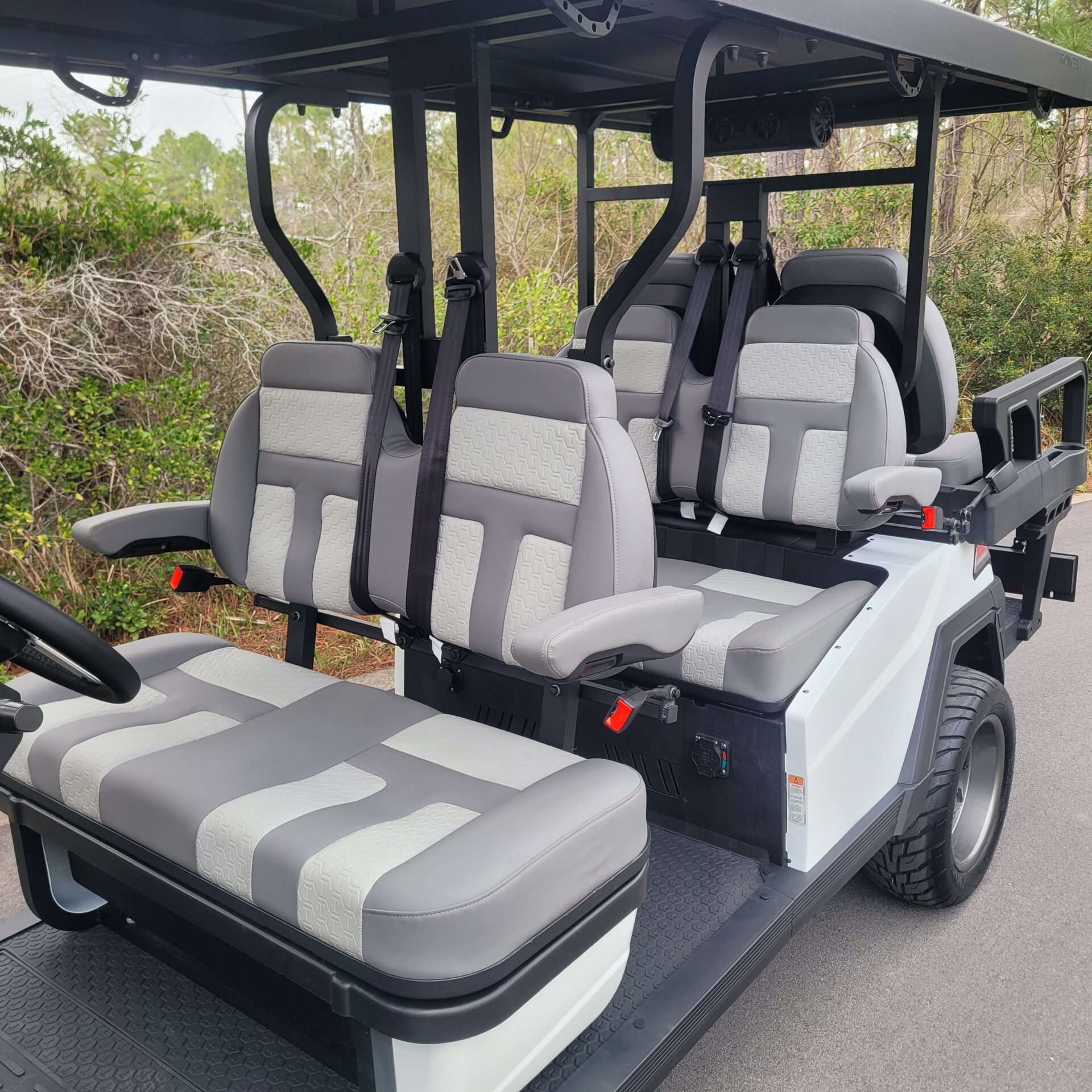 2026 Tronic EV 6P Lifted - Image 7