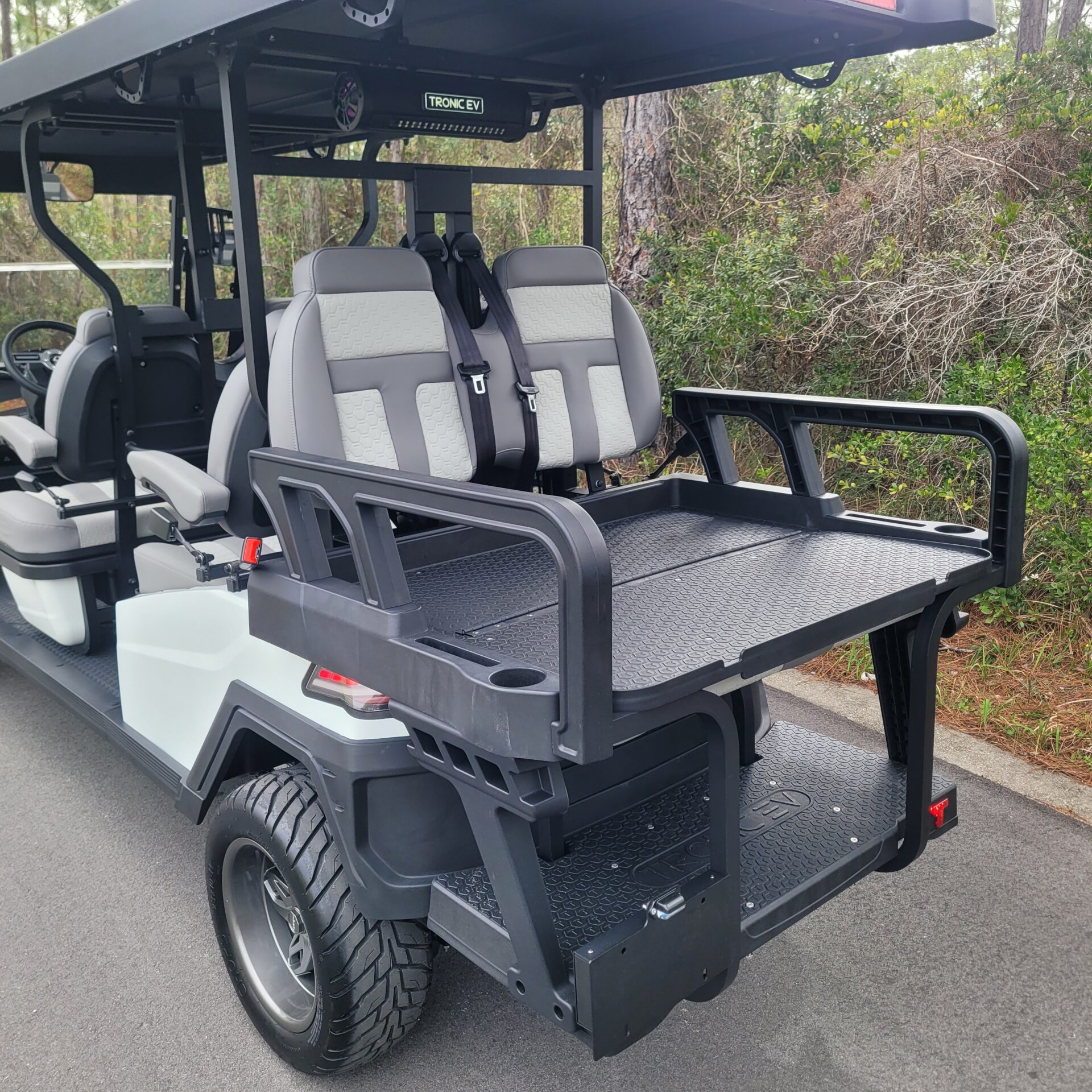 2026 Tronic EV 6P Lifted - Image 8
