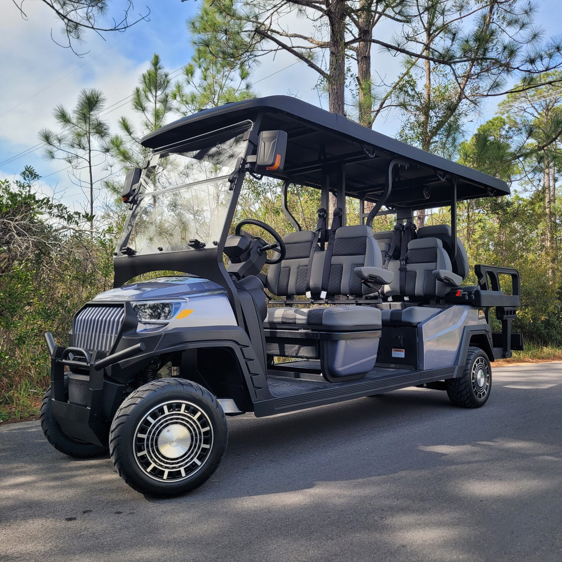 2026 Tronic EV 6P