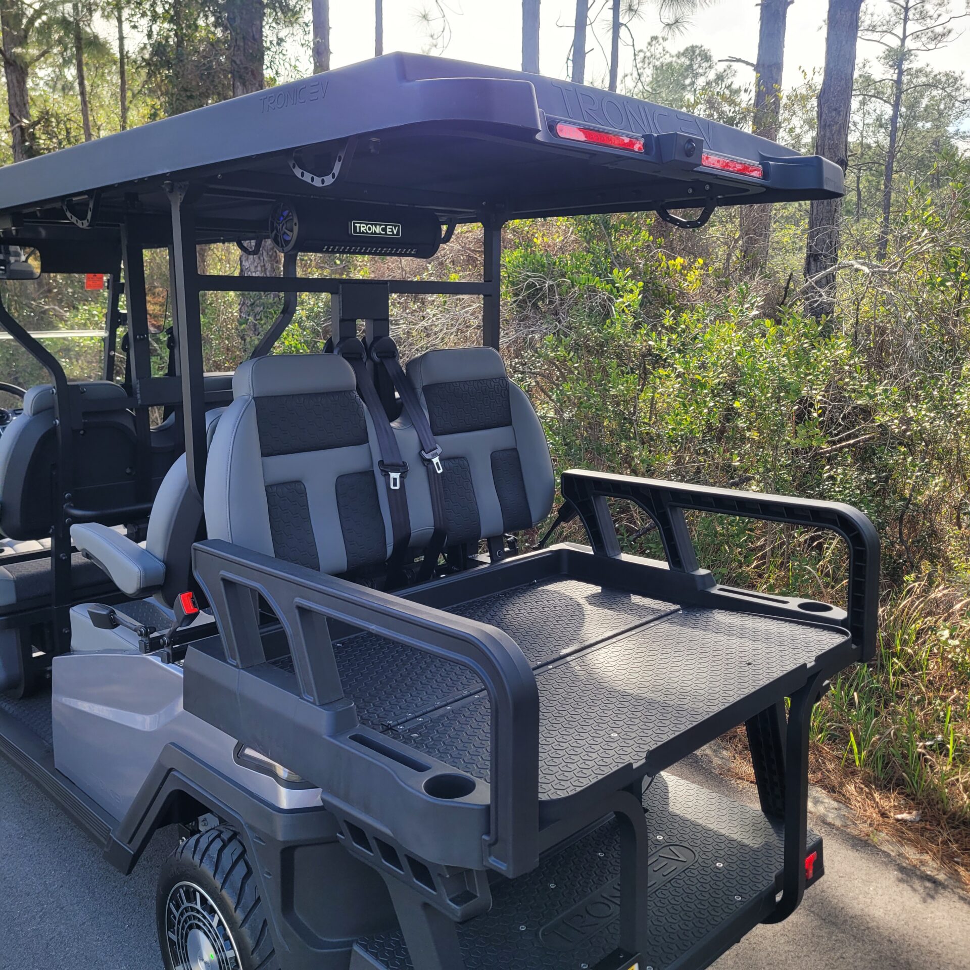 2026 Tronic EV 6P - Image 7
