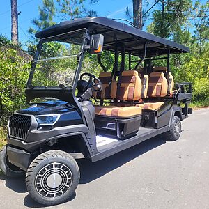 SWCT TRONIC EV 2026 6-passenger Black for sale Santa Rosa Beach, FL