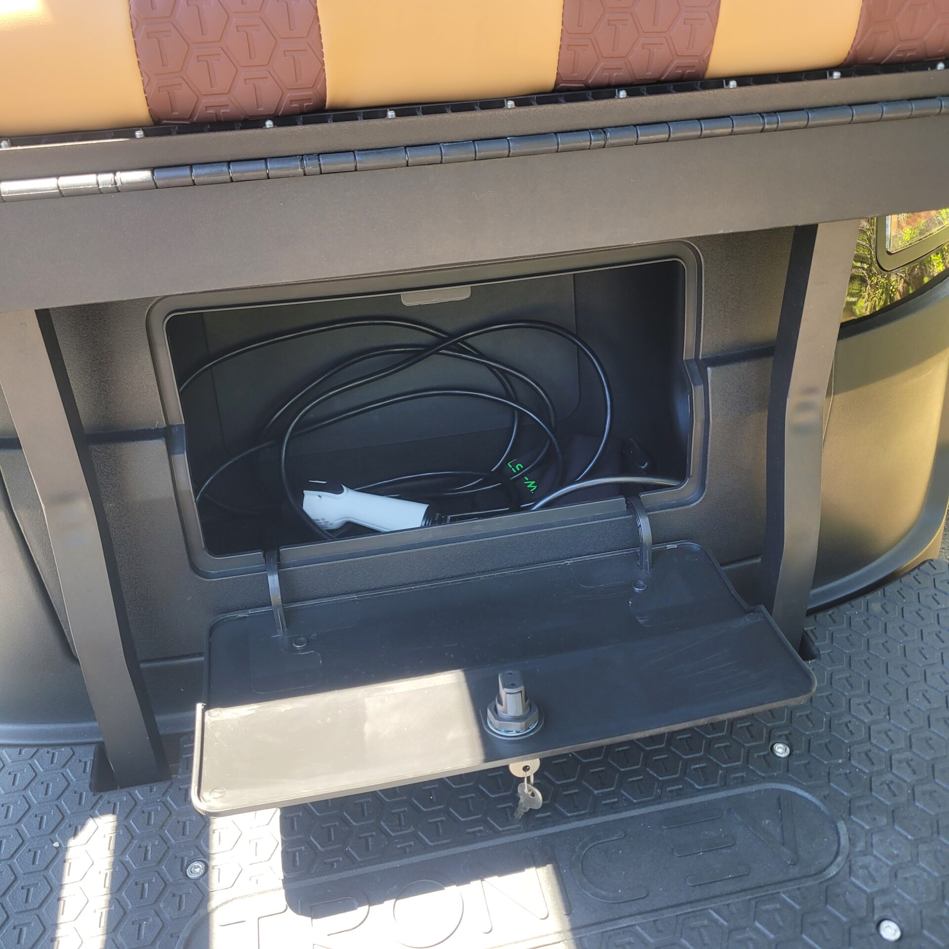 2026 Tronic EV 6P Black - Image 10